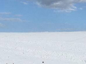 娱乐吃瓜洲,揭秘娱乐圈背后的那些事儿